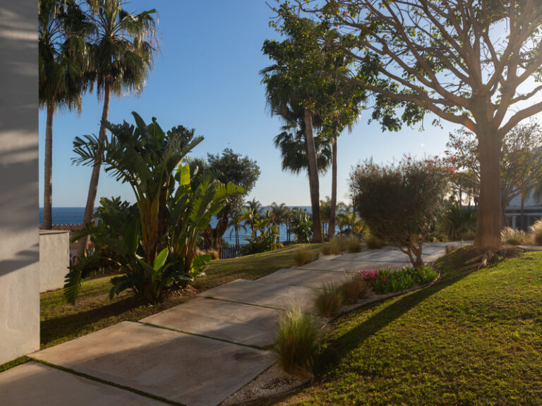 terrace and the view