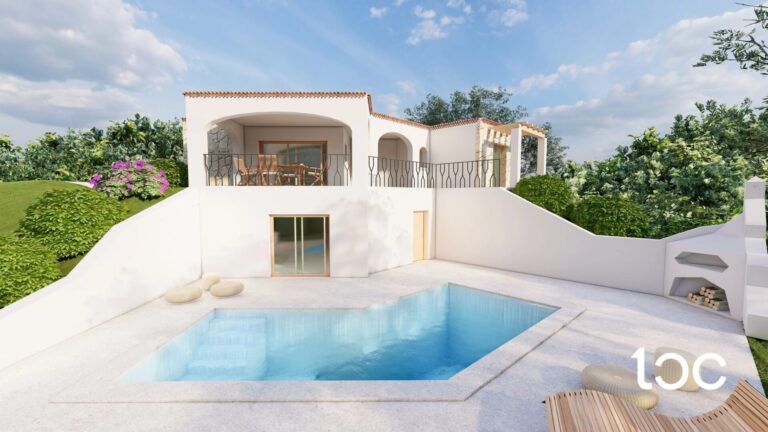 pool and house