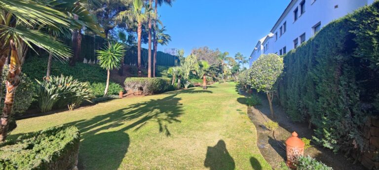 garden palms