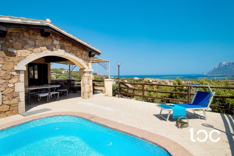 garden pool and terrace