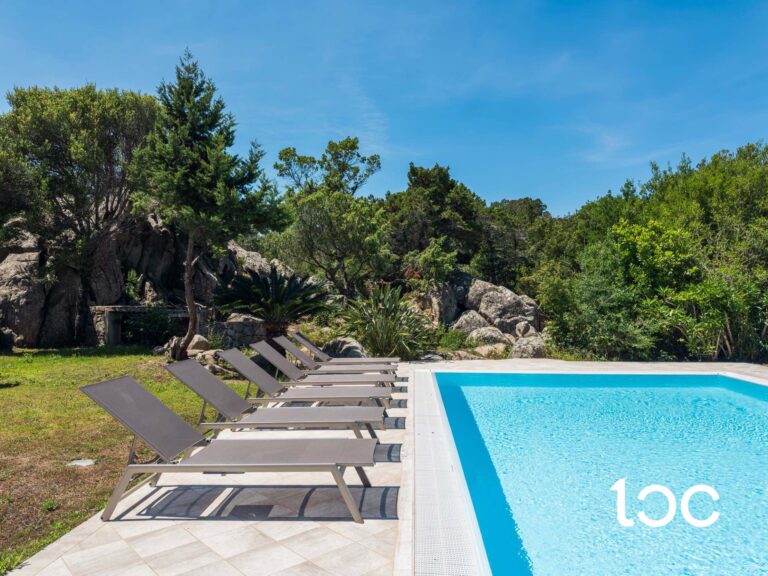 pool and garden