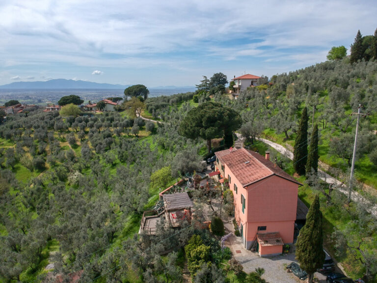 DCIM/100MEDIA/DJI_0279.JPG