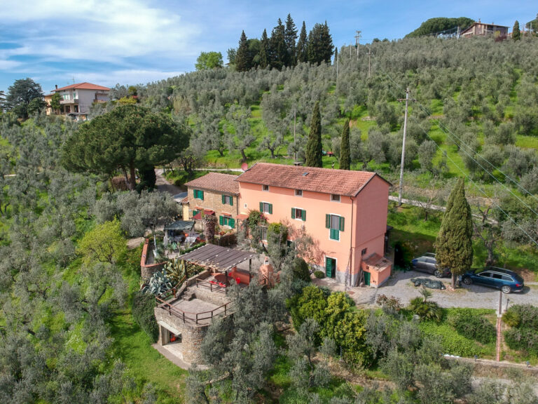 DCIM/100MEDIA/DJI_0282.JPG