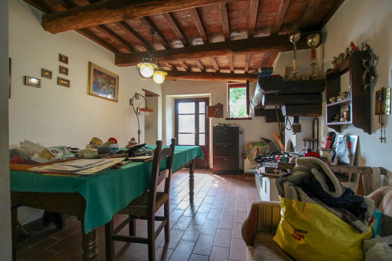 11-IMG_1524