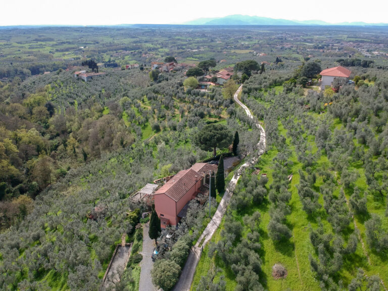 DCIM/100MEDIA/DJI_0306.JPG