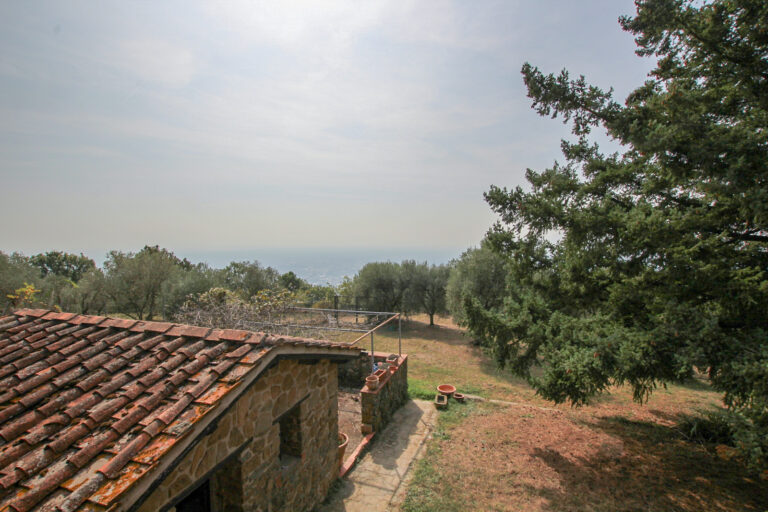15-IMG_1528