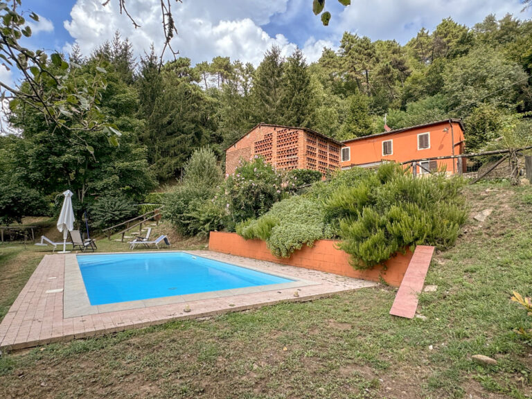 house and pool