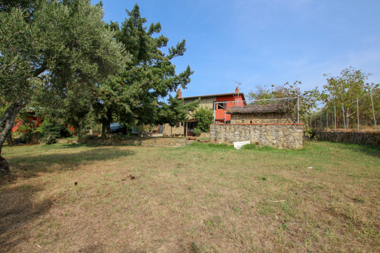 23-IMG_1536