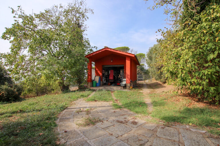24-IMG_1537