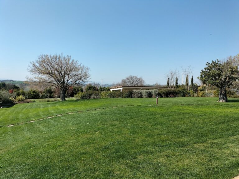 oplus_34