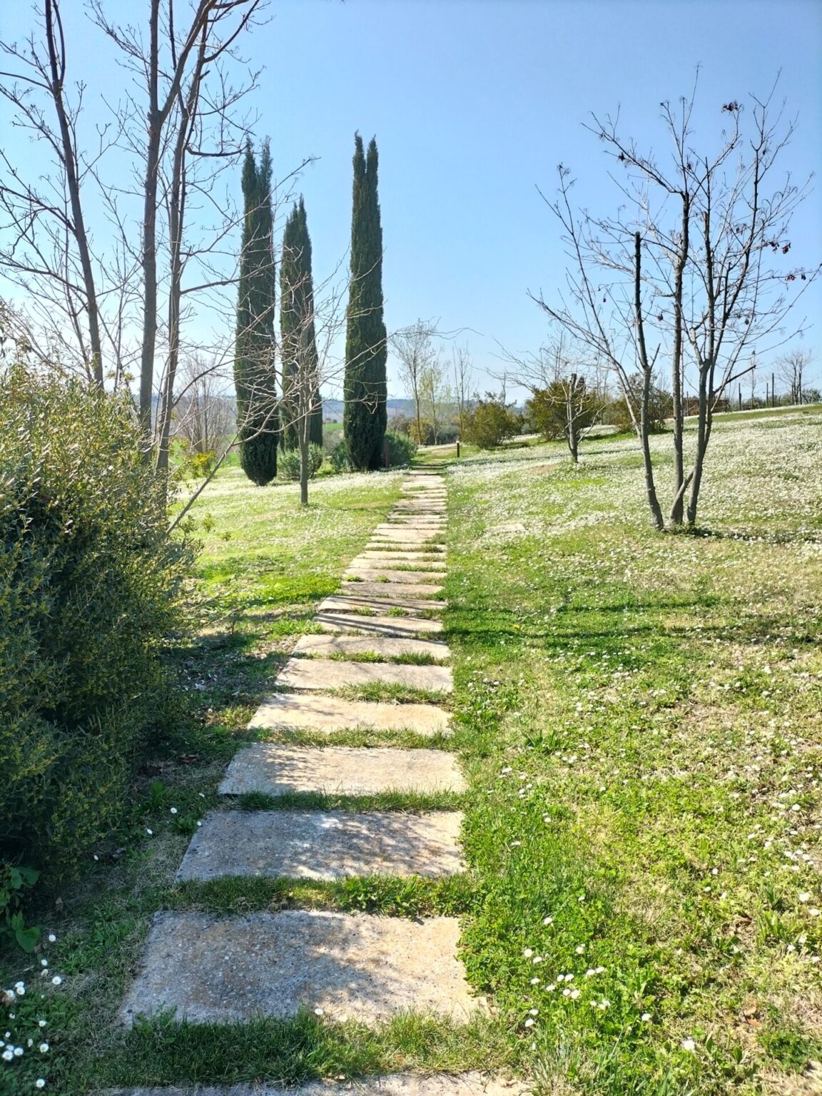 oplus_34