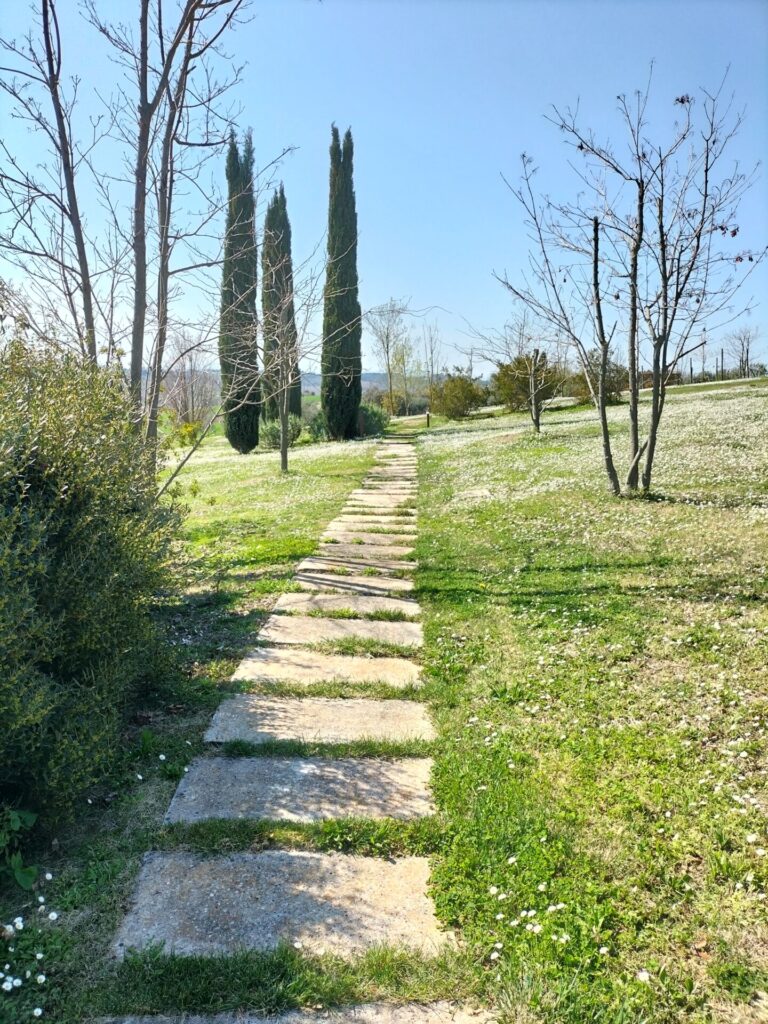 oplus_34