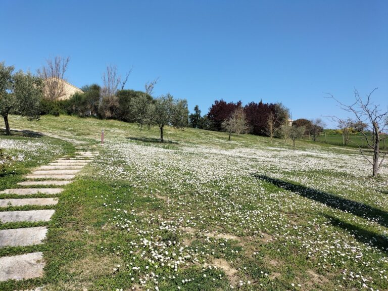 oplus_34