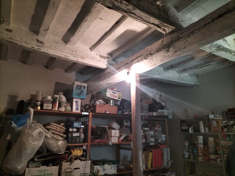 Cellar
