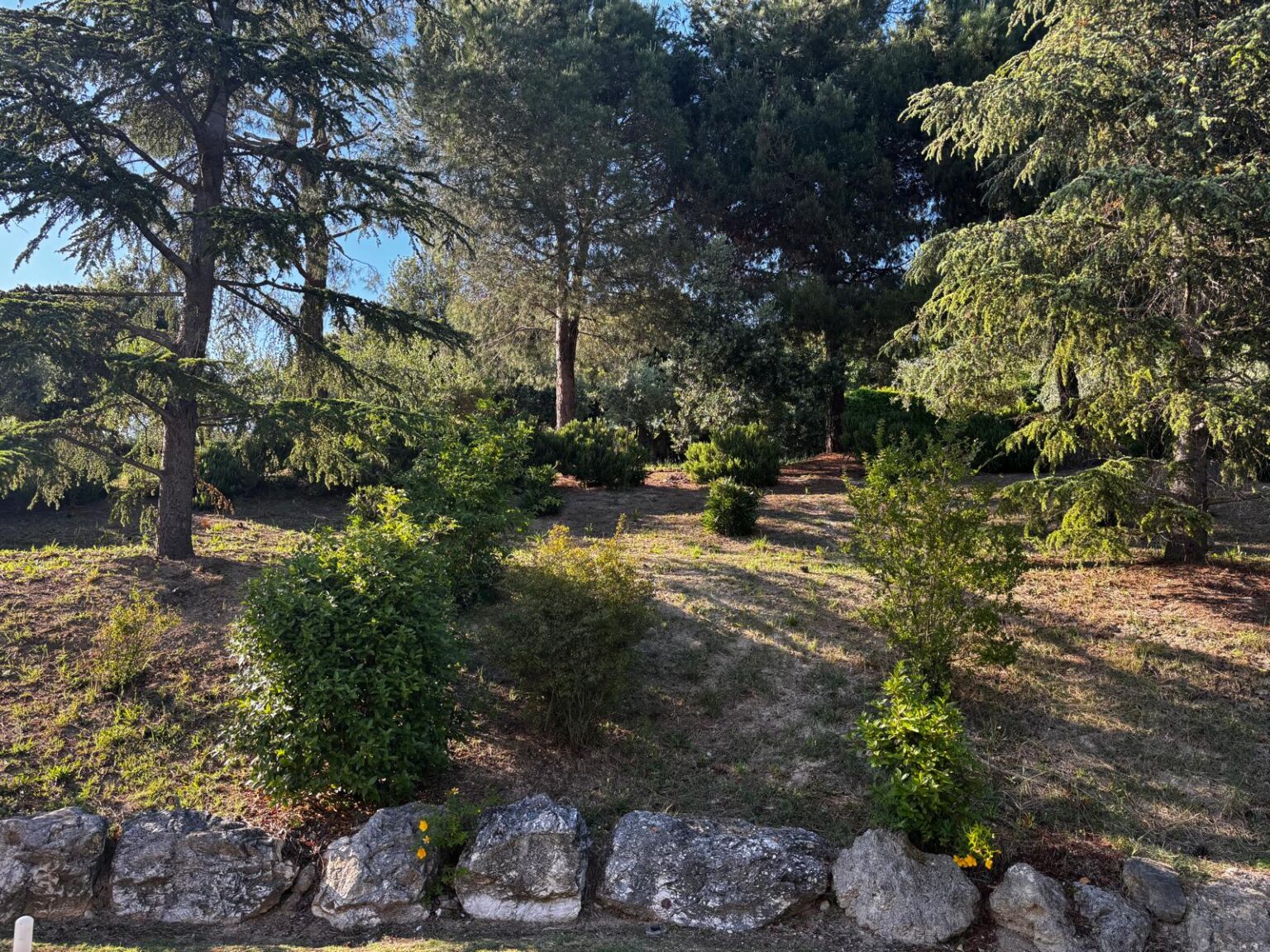 garden