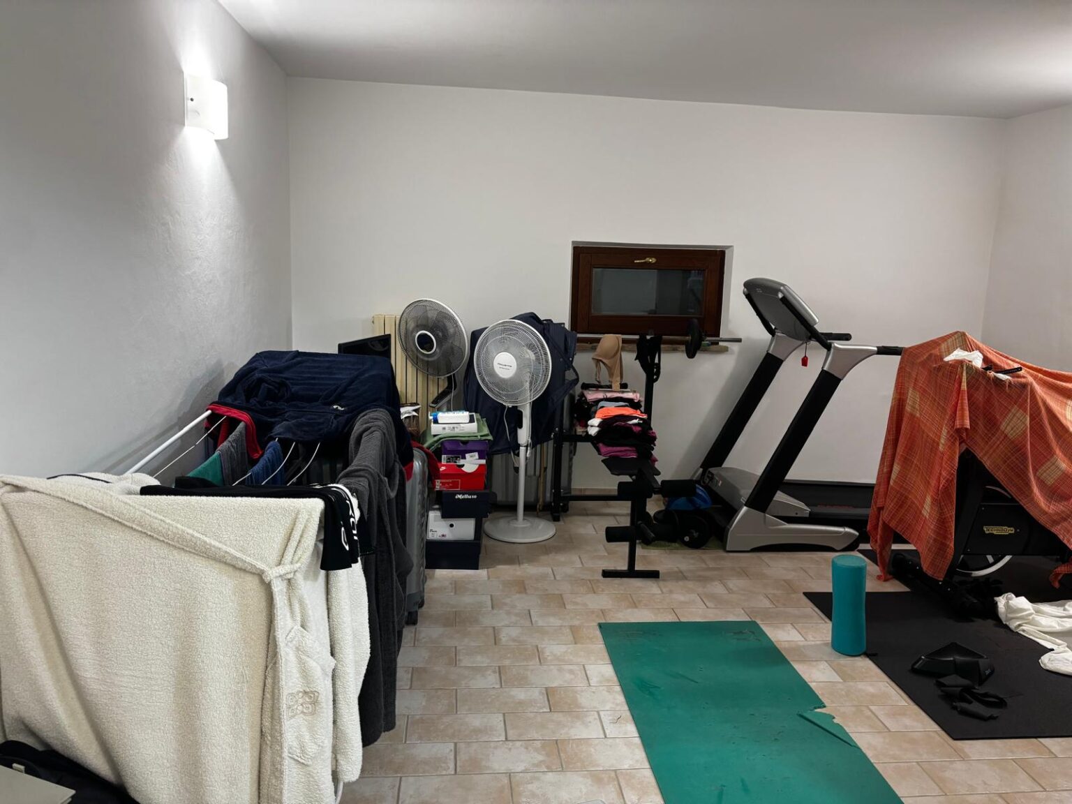 fitness