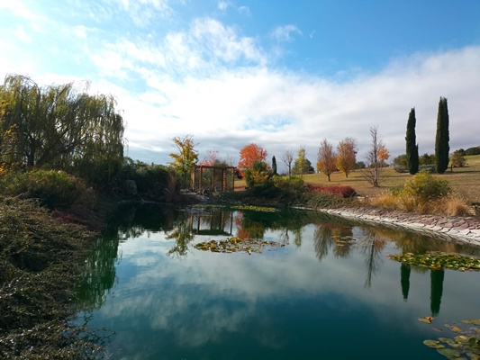 pond