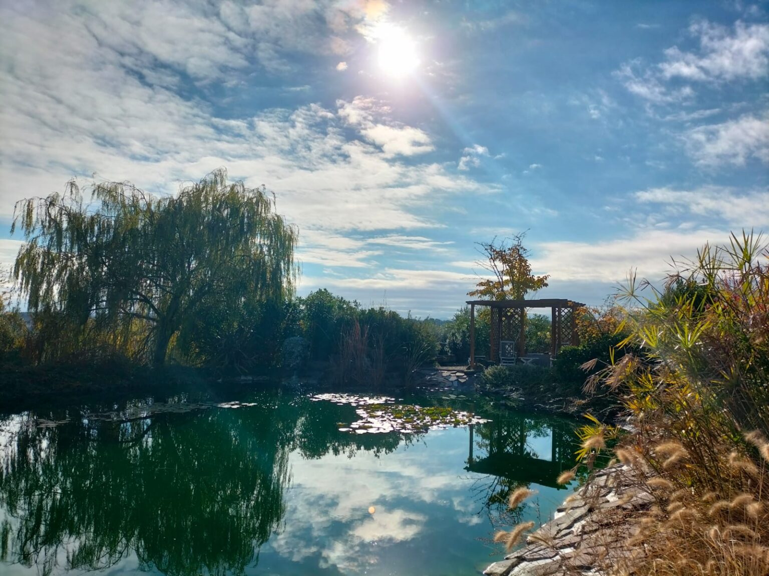 pond