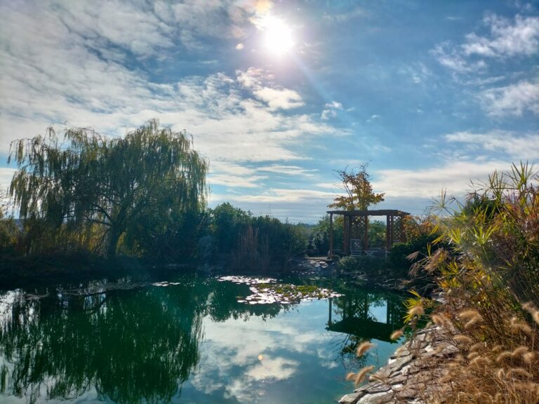 pond